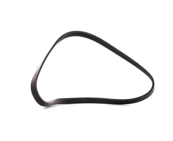 RIDEX PLUS 305P0020P