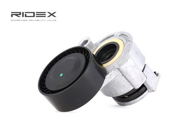 RIDEX 541V0030